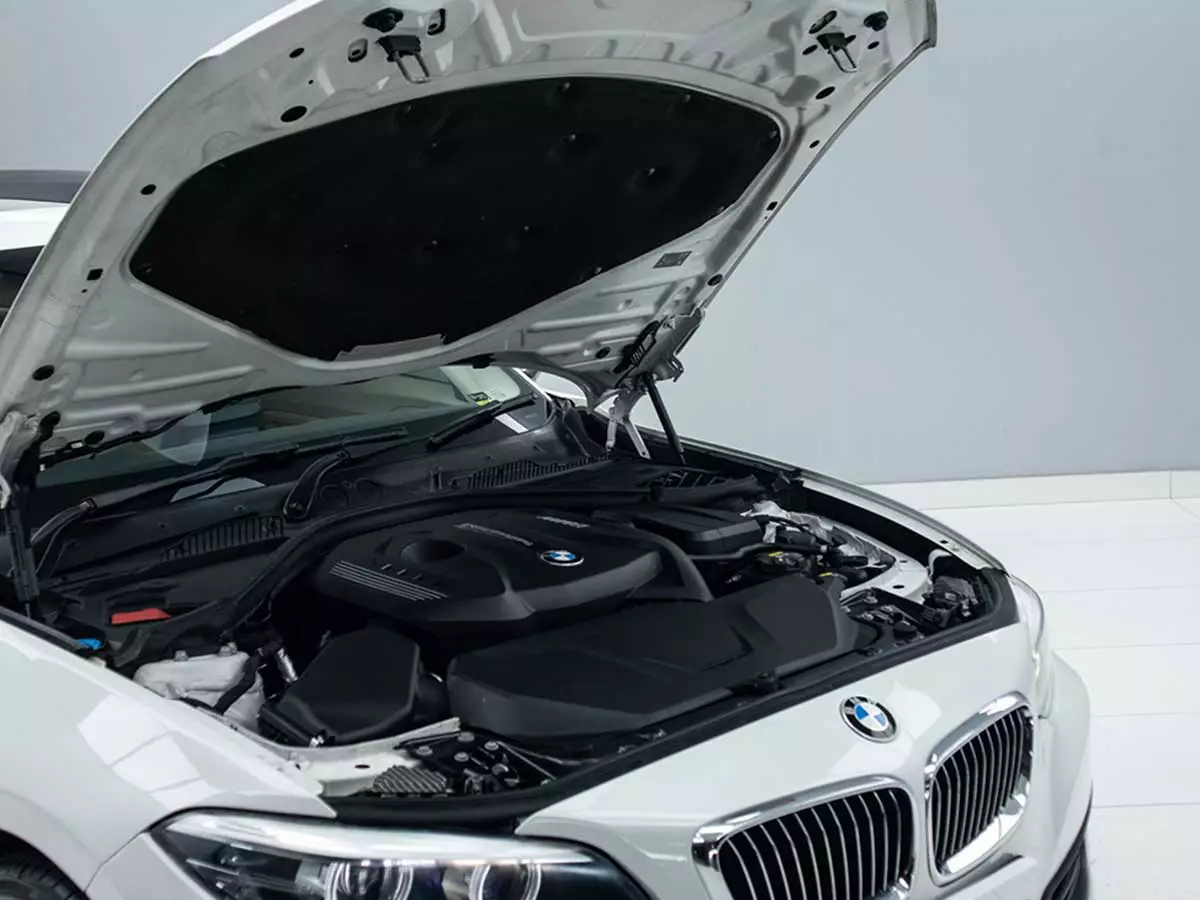 Vehicle Image for 8/17for BMW 2 Series 220i Coupe Luxury Auto